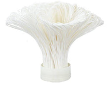 Last inn bildet i Galleri-visningsprogrammet, PVDF Ultrafiltrering - 0.01 Micron membran 3500L/T
